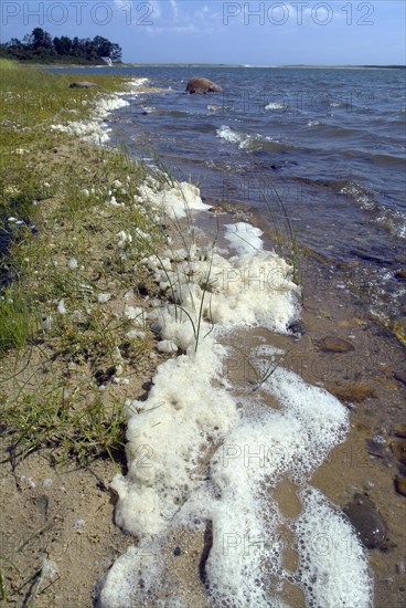 Sea Foam