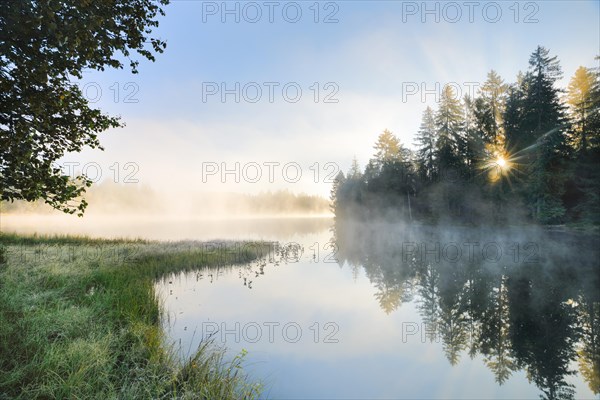 Rays of sunshine make their way through forest and fog at the mirror-smooth moorland lake Etang de la Gruere in the canton of Jura