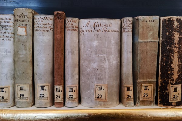 Old books in the Duchess Anna Amalia Library