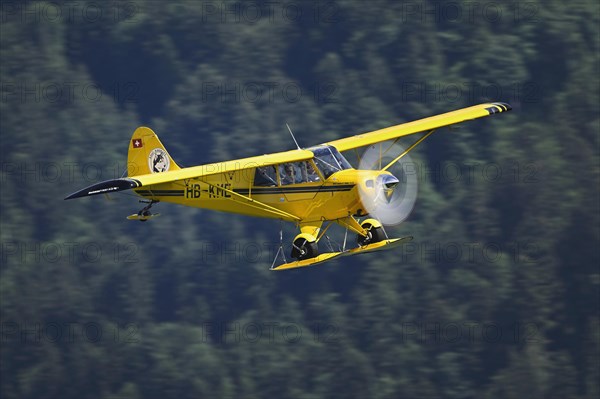 Vintage aircraft Aviat A-1 Husky in flight