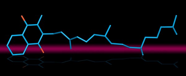 Vitamin K denotes a group of lipophilic