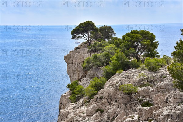 At the Calanque Port Pin near Cassis on the Cote d'Azur in Provence