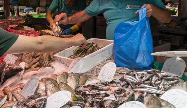 Market stall in the La Rambla market hall