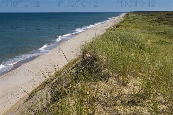 Marconi Beach