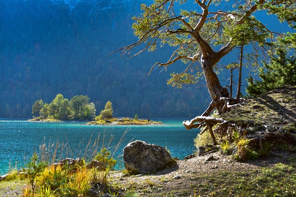 Island in the Eibsee lake near Grainau