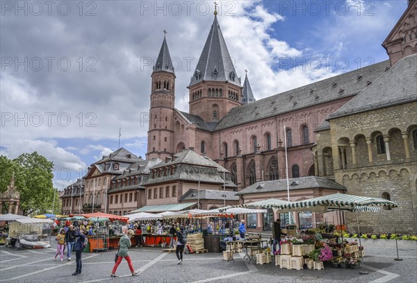 Mainz Cathedral