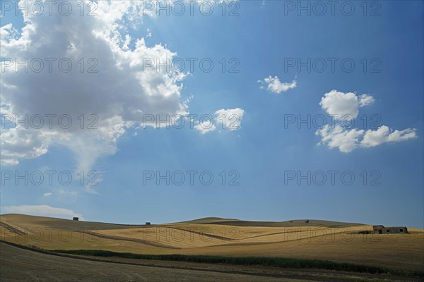 Landscape around Irsina