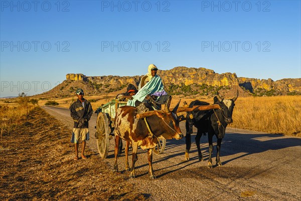 Ox cart