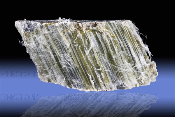 Chrysotile Asbestos