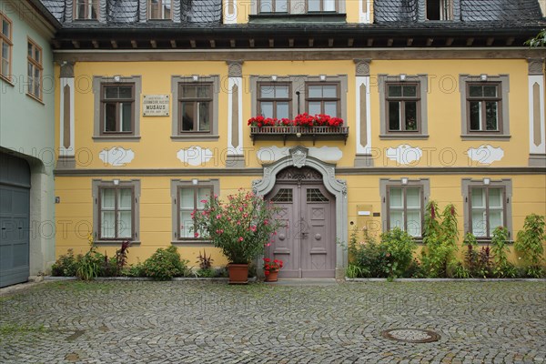 Entrance and house facade of the Albert Schweitzer Memorial and Museum