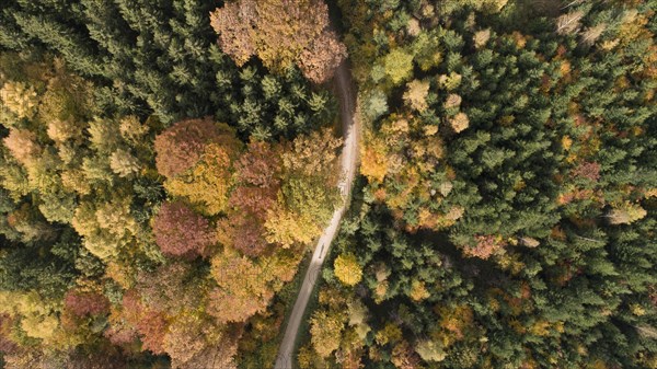 Aerial view of an autumn coloured mixed forest near Augsburg