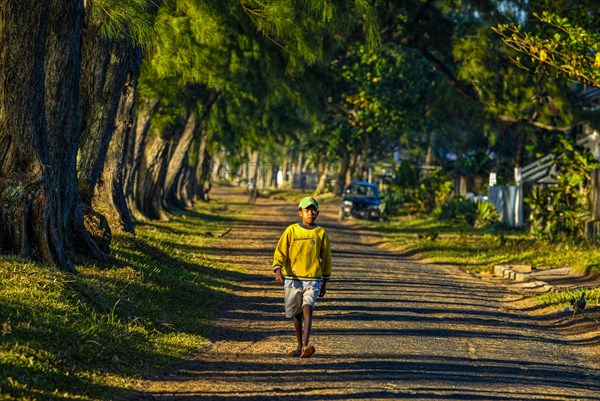 Man walking through the artifical planted tree line