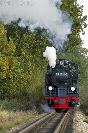 The steam train Rasender Roland