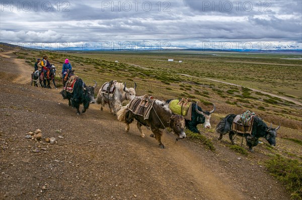 Pilgrims on the Kailash Kora