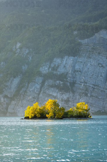 Small chive island in the turquoise waters of Lake Walen