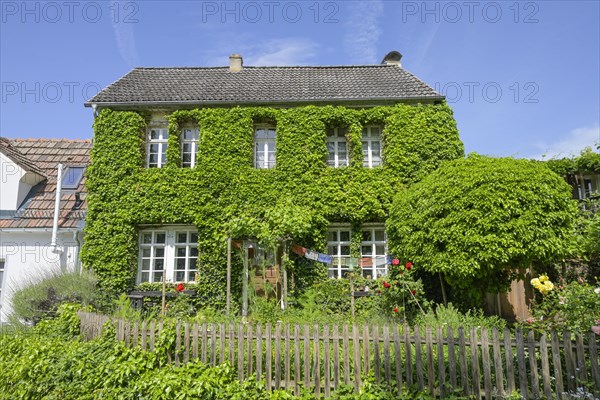 Facade greening