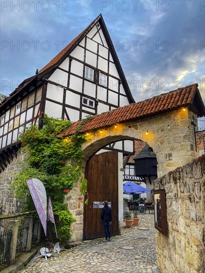 Historic gateway archway entrance to historic noble courtyard Fleischhof with restored 16th century half-timbered house
