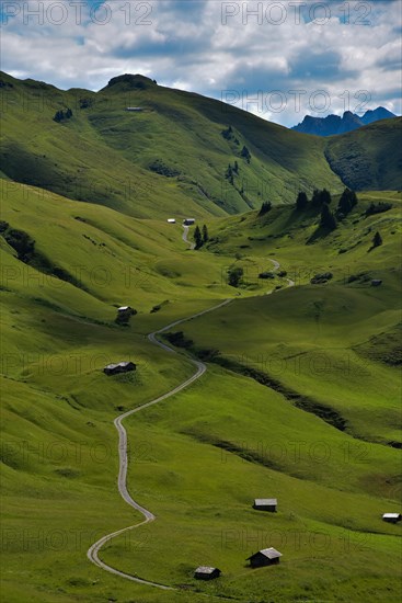 Alpine meadows in Hochkrumbach on the Hochtannberg Pass in Vorarlberg