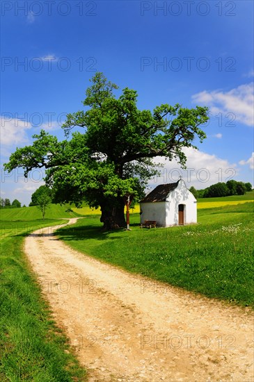 Field chapel near Eppishausen