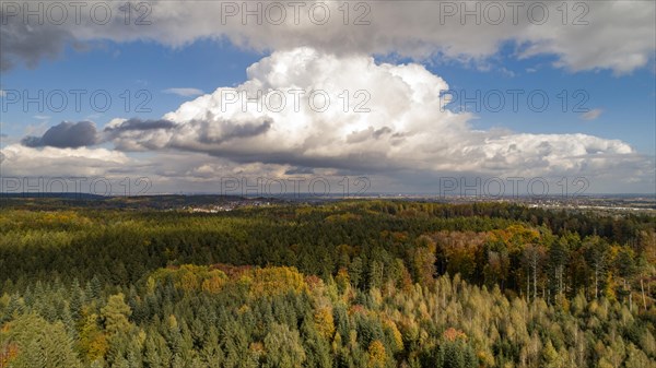 Aerial view of the autumn-coloured nature park Westliche Waelder near Augsburg