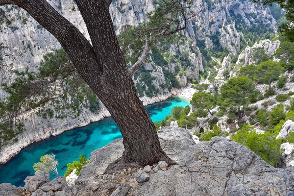 View of the Calanque d'En-Vau near Cassis on the Cote d'Azur in Provence