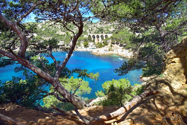 Calanque de Mejan on the customs officers' path