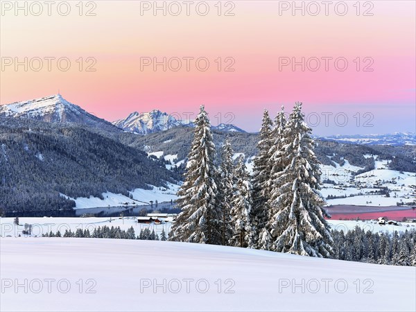 Snow-covered forest with view of Lake Aegeri behind Rigi and Pilatus