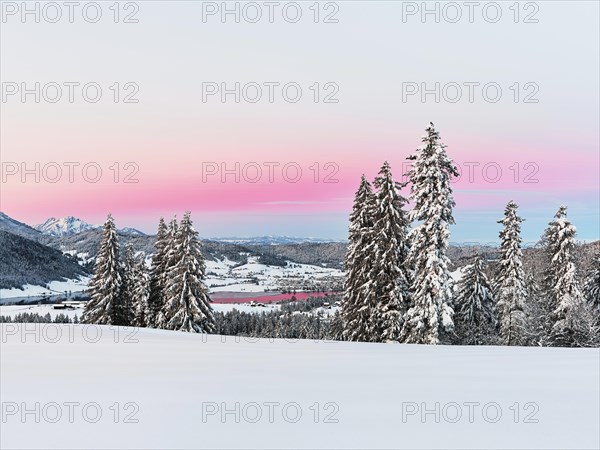 Snow-covered forest with view of Lake Aegeri behind Pilatus