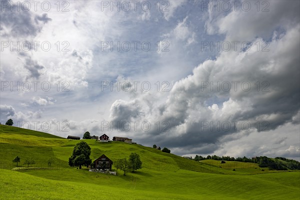 Farms in hilly landscape