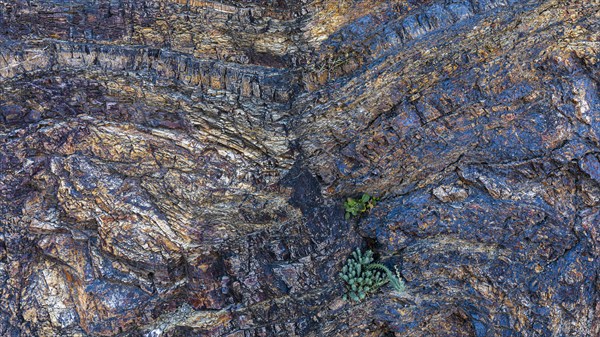 Ore-bearing rock in Forte Falcone