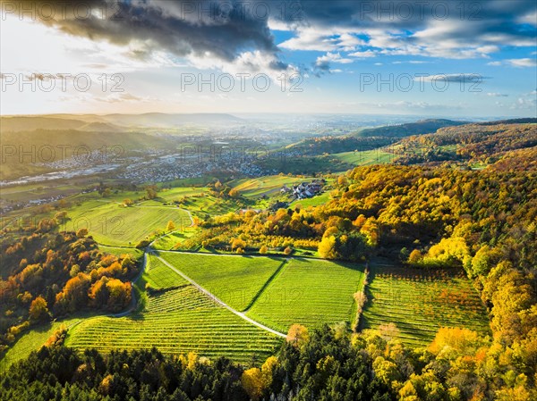 Drone view of forest and rural landscape in autumn