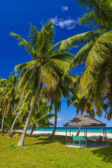Palm trees on a white sand beach on the Island Ile Sainte-Marie although Nosy Boraha