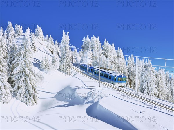 Cogwheel railway travelling through snow-covered forest