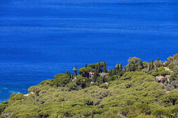 Holiday home framed by cypresses on Golfo Stella