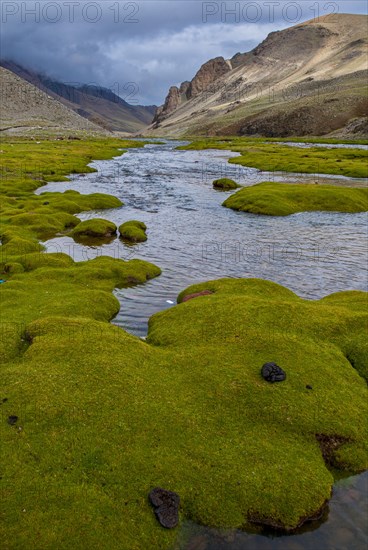 Mountain river