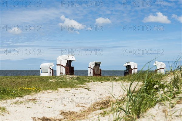 Beach chairs on the sandy beach