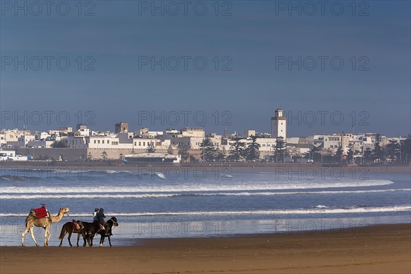 White city on the Atlantic