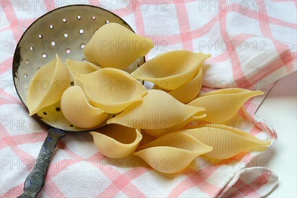 Conchiglione with sieve ladle