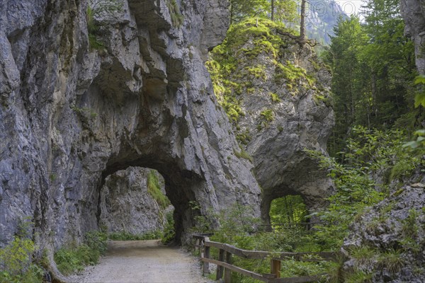 Tunnel in the gorge along the Schrottner path