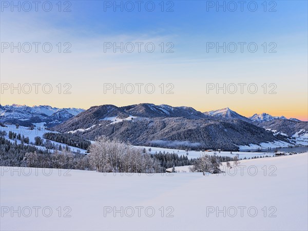 Snow-covered forest with view of Lake Aegeri behind Rigi and Pilatus