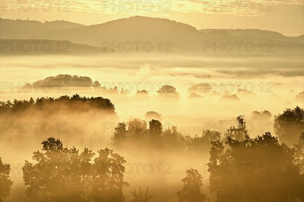 Meadows and trees in the early morning mist