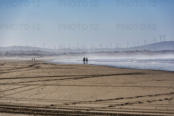 Tyre tracks and walkers on the beach