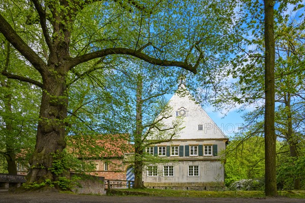 Burg Dinklage Monastery