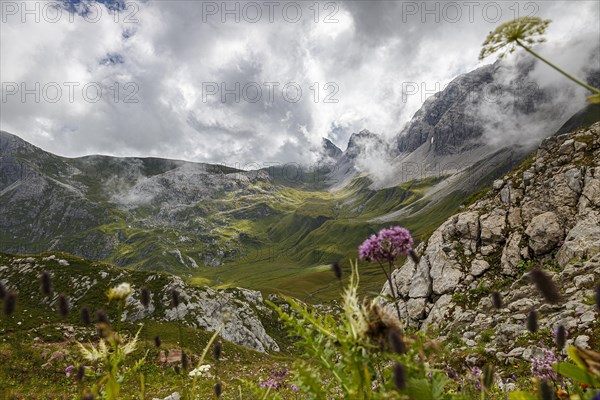 View across a mountain meadow to the Alps near Lech am Arlberg