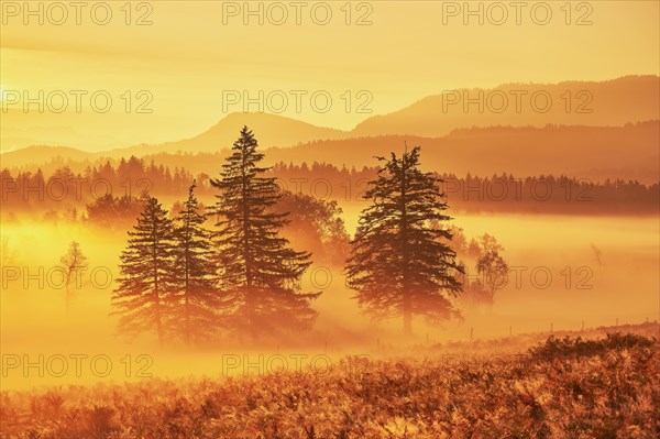 Sunrise High Moor Eigenried Zugerberg