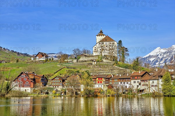 Werdenberg Castle with Old Town on Lake Werdenberg