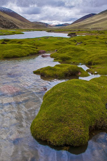 Mountain river