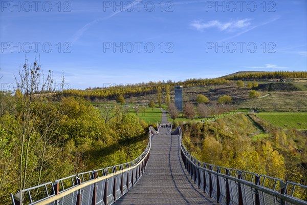 Dragon Bridge