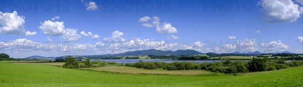 Wallersee-Zell am Wallersee