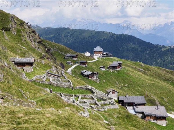 Enclosure made of dry stone walls for traditional alpine pasture management that was originally used for cattle grazing